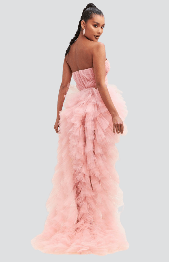 Gina Elegant Tulle Multi-Layer Mesh Maxi Dres-Blush