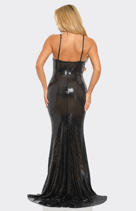 Tania Sleeveless Sequin Rhinestone Embellished Maxi Dress