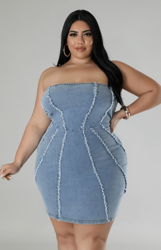 Shelby Plus Size Stretch Denim Back Zipper Closure Tube Mini Dress