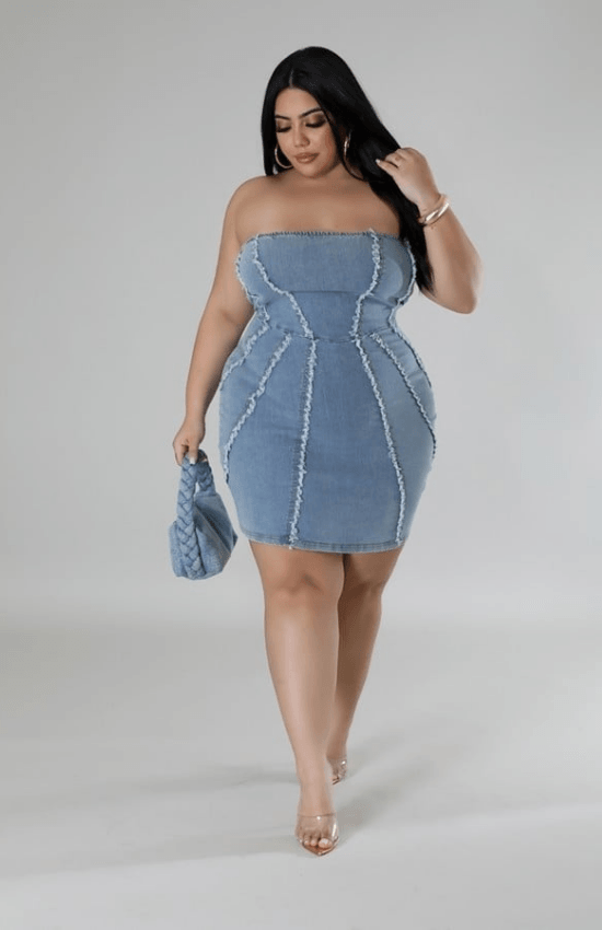 Shelby Plus Size Stretch Denim Back Zipper Closure Tube Mini Dress