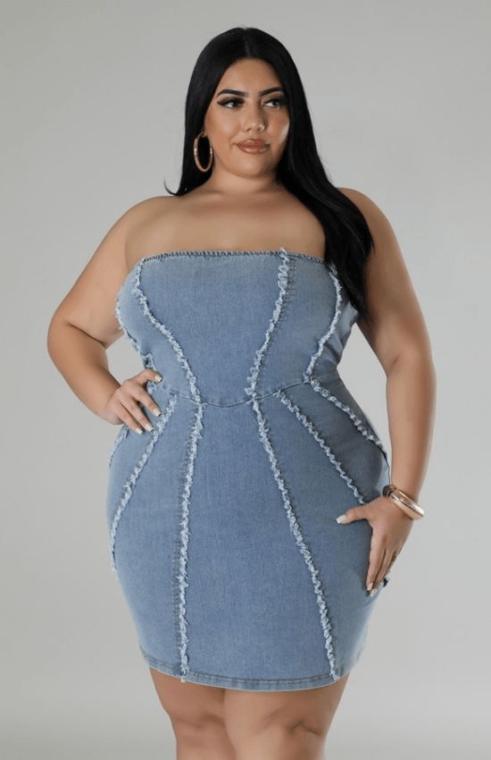 Shelby Plus Size Stretch Denim Back Zipper Closure Tube Mini Dress