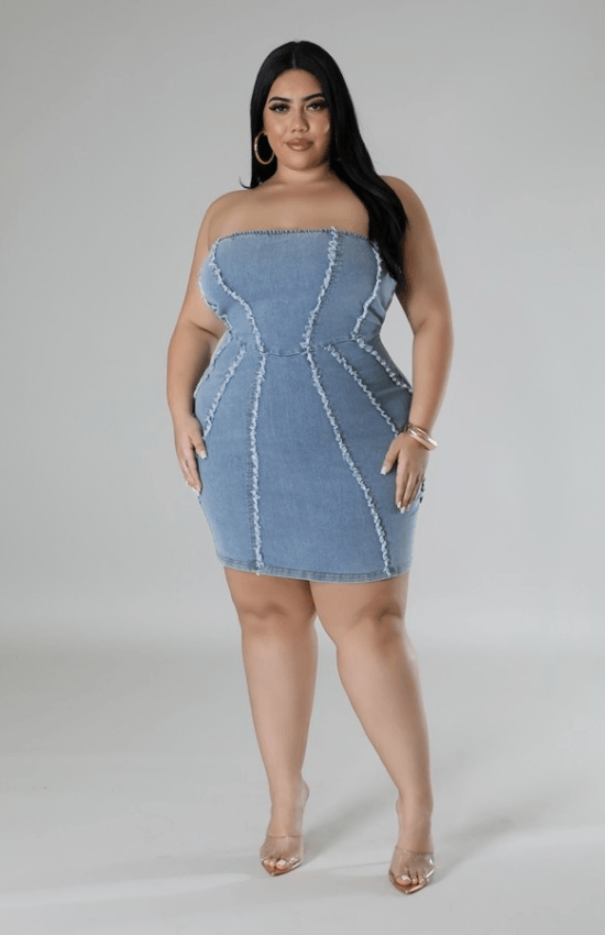 Shelby Plus Size Stretch Denim Back Zipper Closure Tube Mini Dress