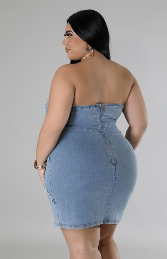 Shelby Plus Size Stretch Denim Back Zipper Closure Tube Mini Dress